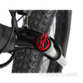 Mountain Bike controllata e stabile elettrica